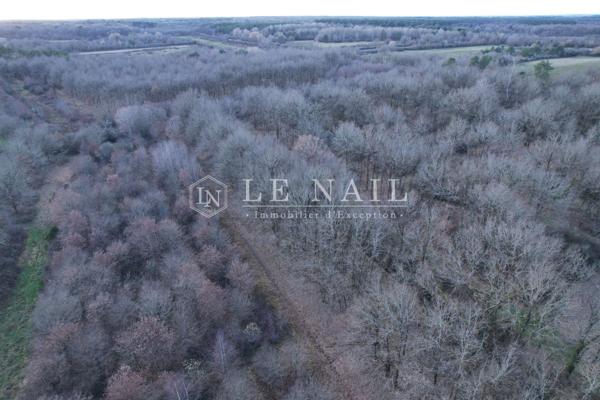 Propriété de chasse de 60 hectares avec étangs au cœur de la Sologne