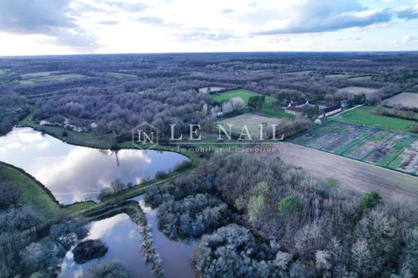 Propriété de chasse de 60 hectares avec étangs au cœur de la Sologne