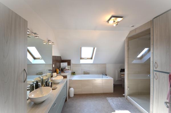 Magnifique appartement de Standing avec vue sur les Vosges et son studio attenant