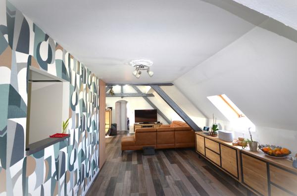 Magnifique appartement de Standing avec vue sur les Vosges et son studio attenant