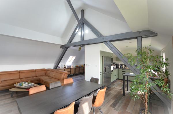 Magnifique appartement de Standing avec vue sur les Vosges et son studio attenant