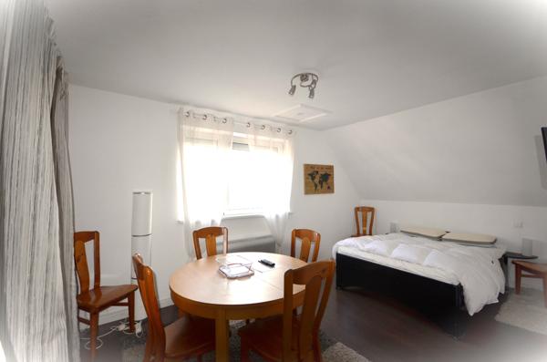 Magnifique appartement de Standing avec vue sur les Vosges et son studio attenant