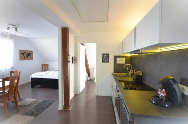 Magnifique appartement de Standing avec vue sur les Vosges et son studio attenant