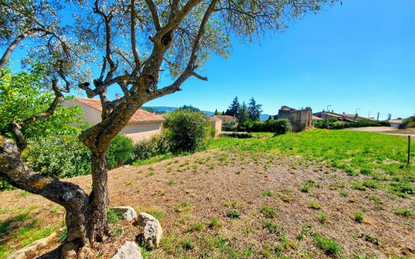 Maison à vendre    1 pièce •  Forcalquier