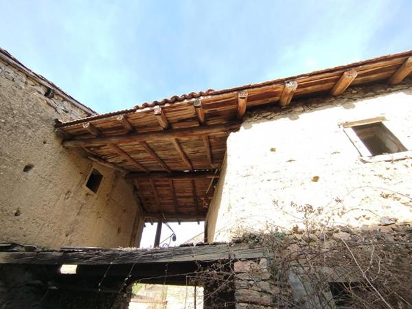 Maison de ville rénovée avec jardin et dépendances