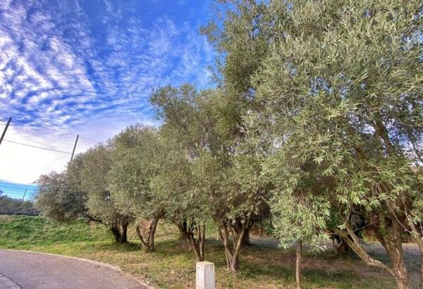 Terrain à vendre |  Castries |  401 m²