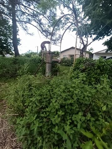 PROPRIETE DE 2 MASIONS ET ANNEXES EN BORD DE RIVIERE