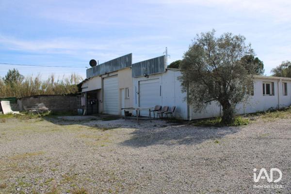 Location local d’activité 246 m² Saint-Jean-de-Védas
