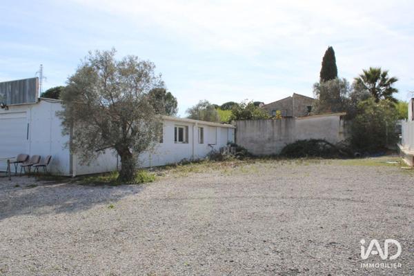 Location local d’activité 246 m² Saint-Jean-de-Védas