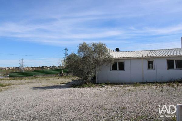 Location local d’activité 246 m² Saint-Jean-de-Védas