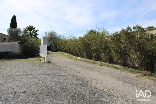 Location local d’activité 246 m² Saint-Jean-de-Védas