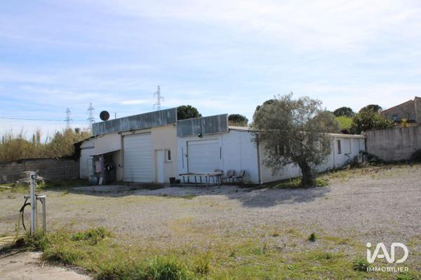 Location local d’activité 246 m² Saint-Jean-de-Védas