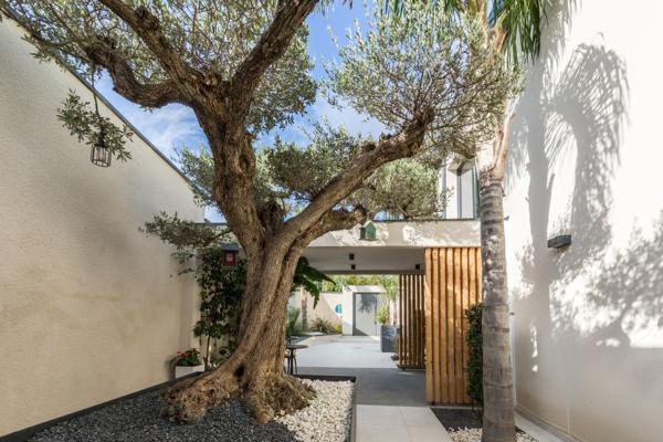 Vente Maison de luxe Perpignan 6 Pièces 220 m²