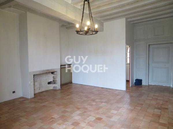 Appartement Chateau Gontier Sur Mayenne 3 pièce(s) 100 m2