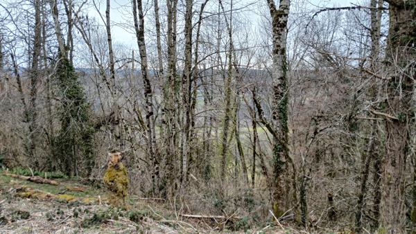 MAISON AUVERGNATE A RENOVER Le Vigean (15200)