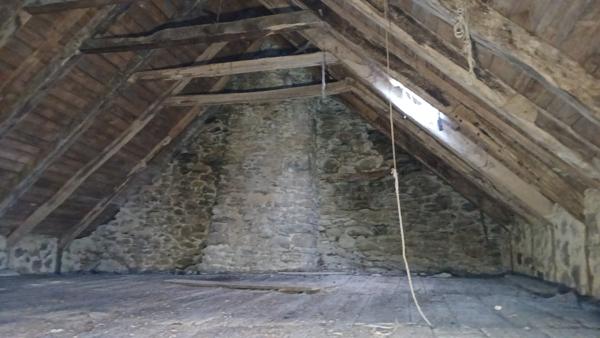 MAISON AUVERGNATE A RENOVER Le Vigean (15200)