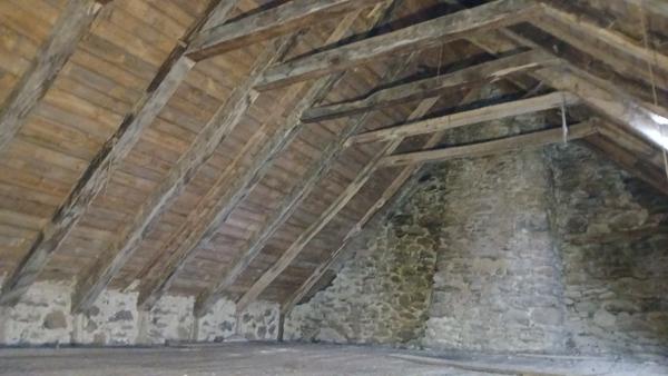 MAISON AUVERGNATE A RENOVER Le Vigean (15200)