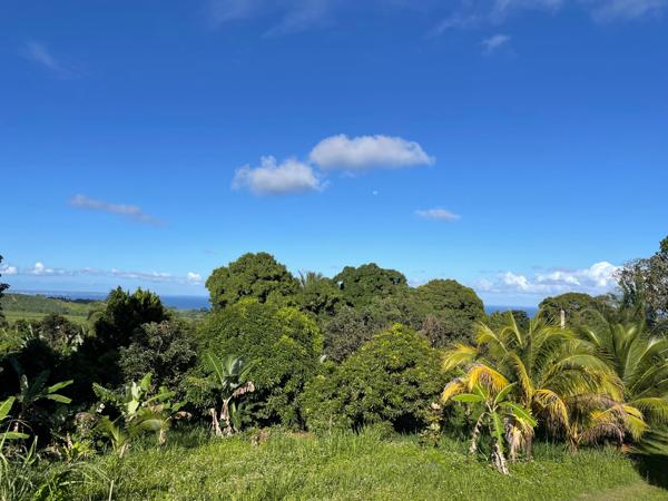 Spacieuse villa avec piscine dans environnement calme