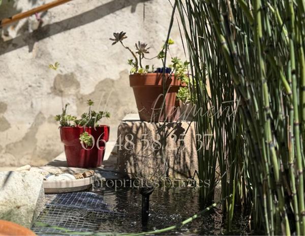Maison de ville 226 m2 avec jardin, piscine, forage, garage