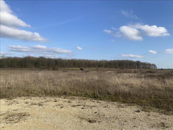 Terrain à vendre |  Saint-Florent-sur-Cher |  736 m²