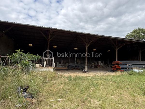 Je vous propose à la vente, 3 hangars agricoles édifiés sur une parcelle de terrain de 1700m2 environ. 

Hangar 1 : 335m2 environ 
Hangar 2 : 350m2 environ 
Hauteur de 8,50 mètres. 
Les hangars 1 et 2 sont accolés. 

Hangar 3 : 420m2 environ 

Entrée indépendante pour l’accès. Parcelle close. L’ensemble est situé dans un environnement calme.