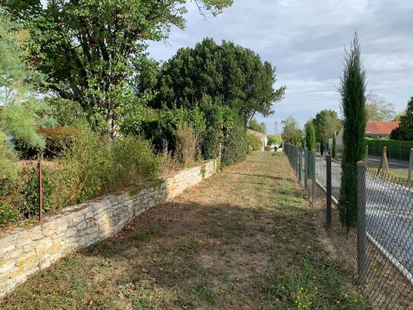 Achat terrain Boutiers-Saint-Trojan - 41 610 €