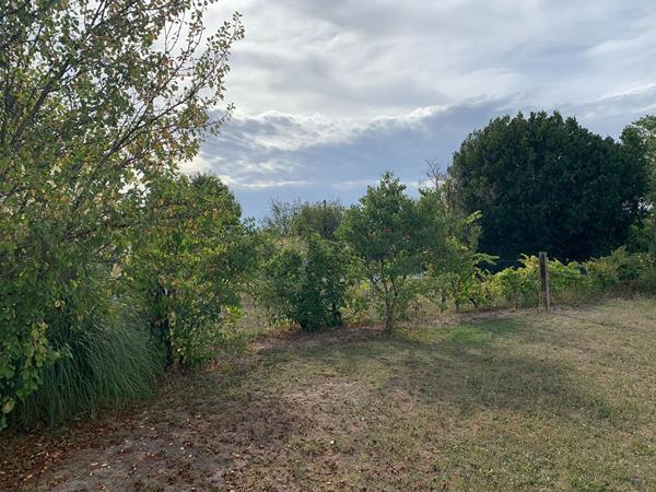 Achat terrain Boutiers-Saint-Trojan - 41 610 €