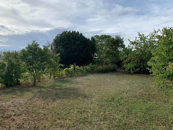 Achat terrain Boutiers-Saint-Trojan - 41 610 €