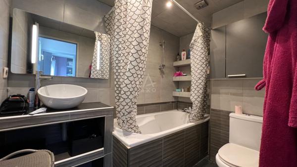 Appartement duplex 3 ch + garage