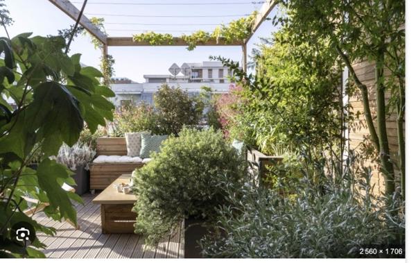 Vente Appartement P4 Attique grande terrasse Lyon 8ème   