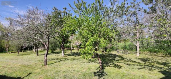 Maison à vendre à Graçay dans le Cher (18310), ref : 142589G
