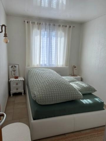 Perpignan (66000) Vente Perpignan. Deux maisons en une séparée : idéal pour une famille qui souhaite garder ses enfants ou se