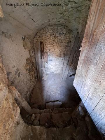 Batisse de caractère en pierre à rénover SAUVAGNAT SAINTE MARTHE (63)