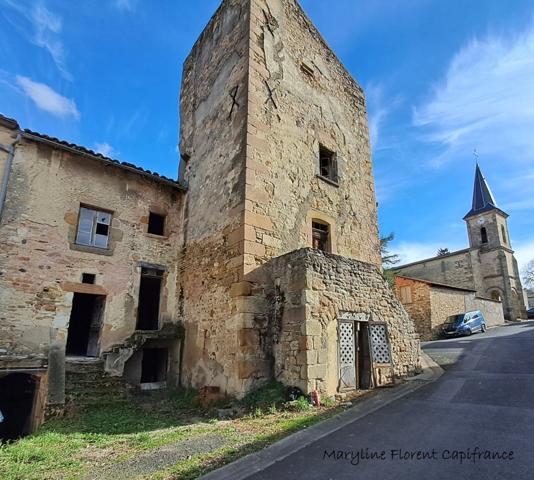 Batisse de caractère en pierre à rénover SAUVAGNAT SAINTE MARTHE (63)