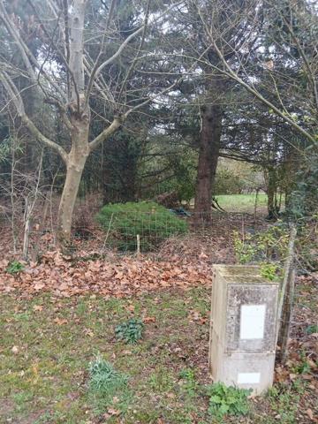 Terrain 38 600 € Le Vigan-en-Quercy 3059 m² DPE