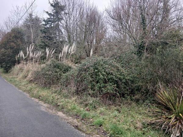 Terrain 38 600 € Le Vigan-en-Quercy 3059 m² DPE
