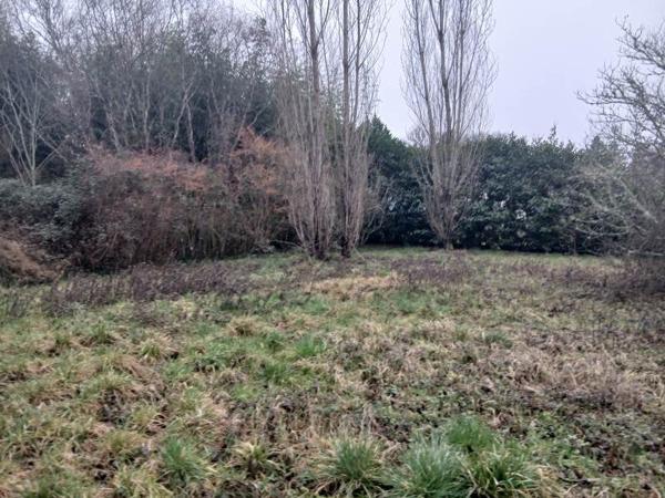 Terrain 38 600 € Le Vigan-en-Quercy 3059 m² DPE
