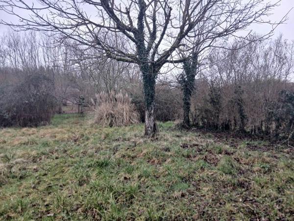 Terrain 38 600 € Le Vigan-en-Quercy 3059 m² DPE