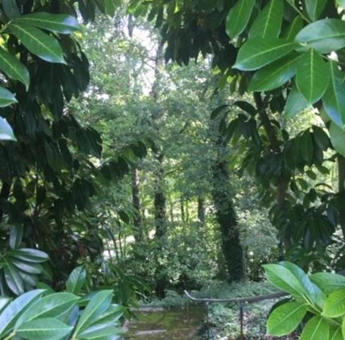 A VENDRE Secteur recherché AMILLY - SPACIEUSE MAISON avec PISCINE, jardin arboré et accès privatif Canal