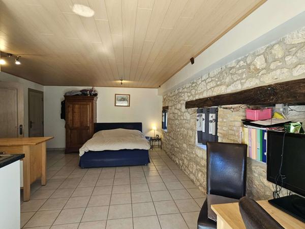 Montaigu-de-Quercy (82150) Montaigu de Quercy Grange rénovée et maison en pierre, piscine et 2.6 hectares