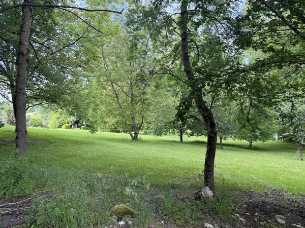 Montaigu-de-Quercy (82150) Montaigu de Quercy Grange rénovée et maison en pierre, piscine et 2.6 hectares