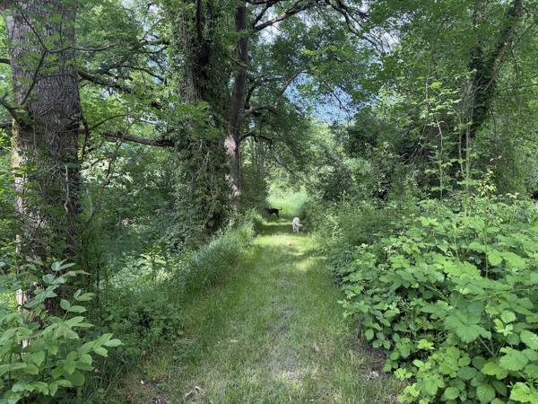 Montaigu-de-Quercy (82150) Montaigu de Quercy Grange rénovée et maison en pierre, piscine et 2.6 hectares