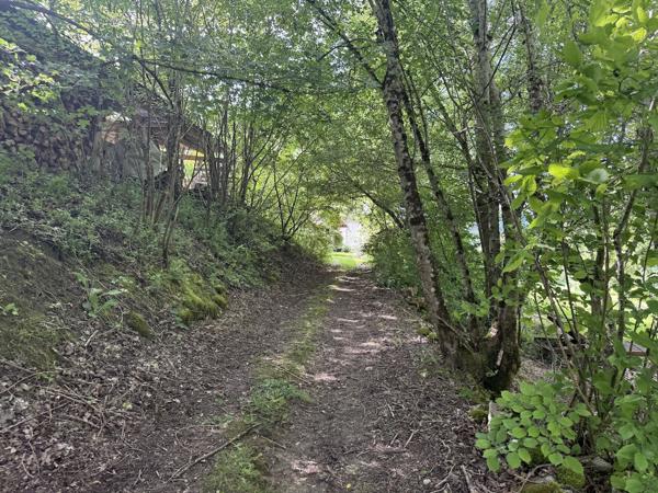 Montaigu-de-Quercy (82150) Montaigu de Quercy Grange rénovée et maison en pierre, piscine et 2.6 hectares