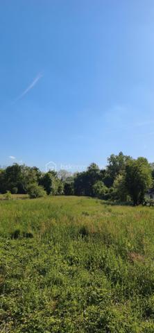 Terrain de 3 249 m²