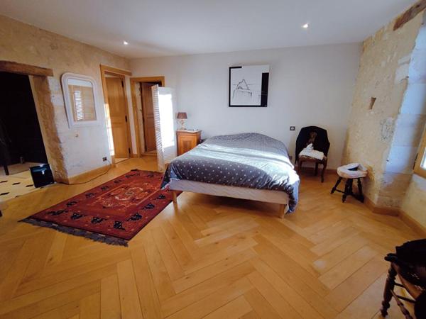 Demeure Angles Sur L Anglin 8 pièce(s) 220 m2