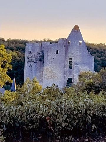 Demeure Angles Sur L Anglin 8 pièce(s) 220 m2