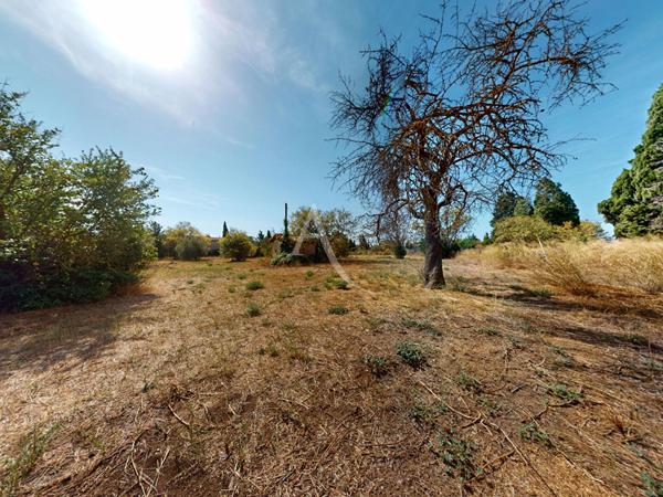 Maison à vendre à Lézignan-Corbières avec terrain de 9000m2