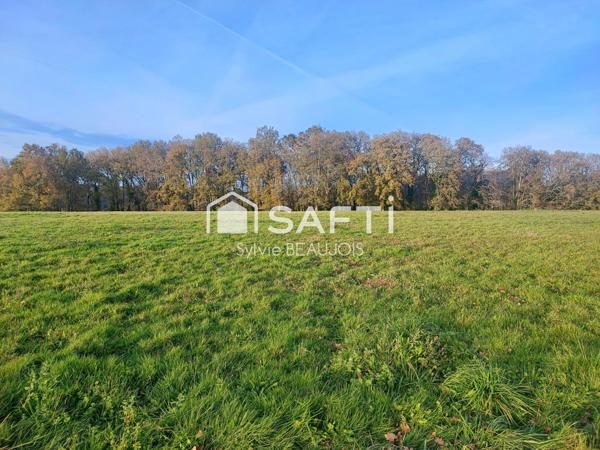 Terrains  zone agricole et naturelle