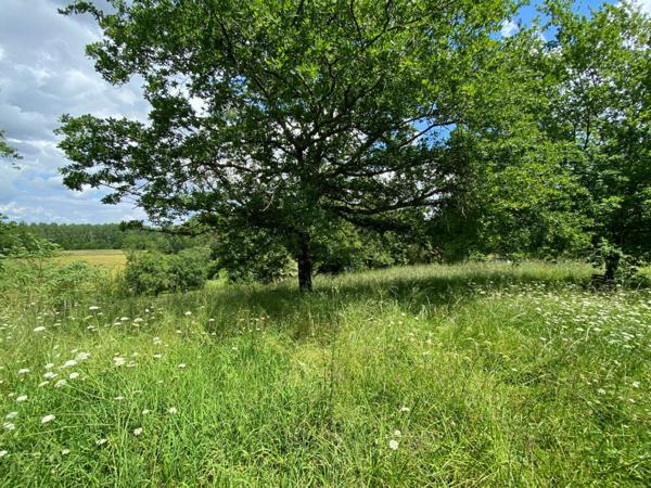 Maison à vendre    5 pièces •  Cassen