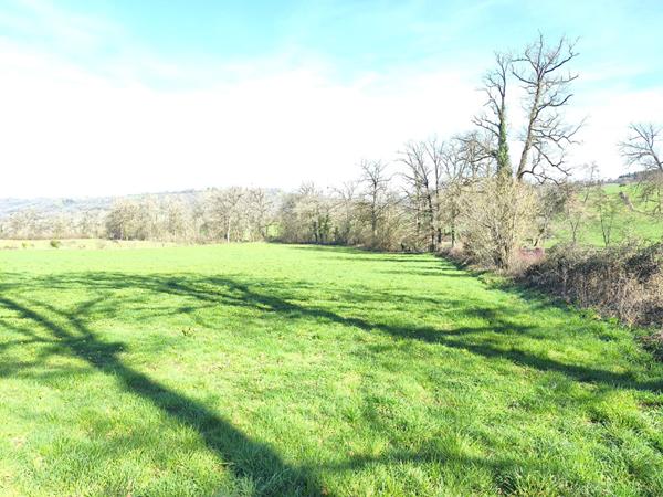 Joli terrain constructible situé à 15' à l'est de Figeac